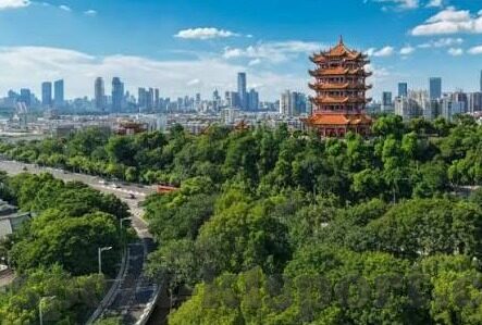 50万足球比分直播-50万足球比分直播，一场数据狂欢背后的体育生态变革
